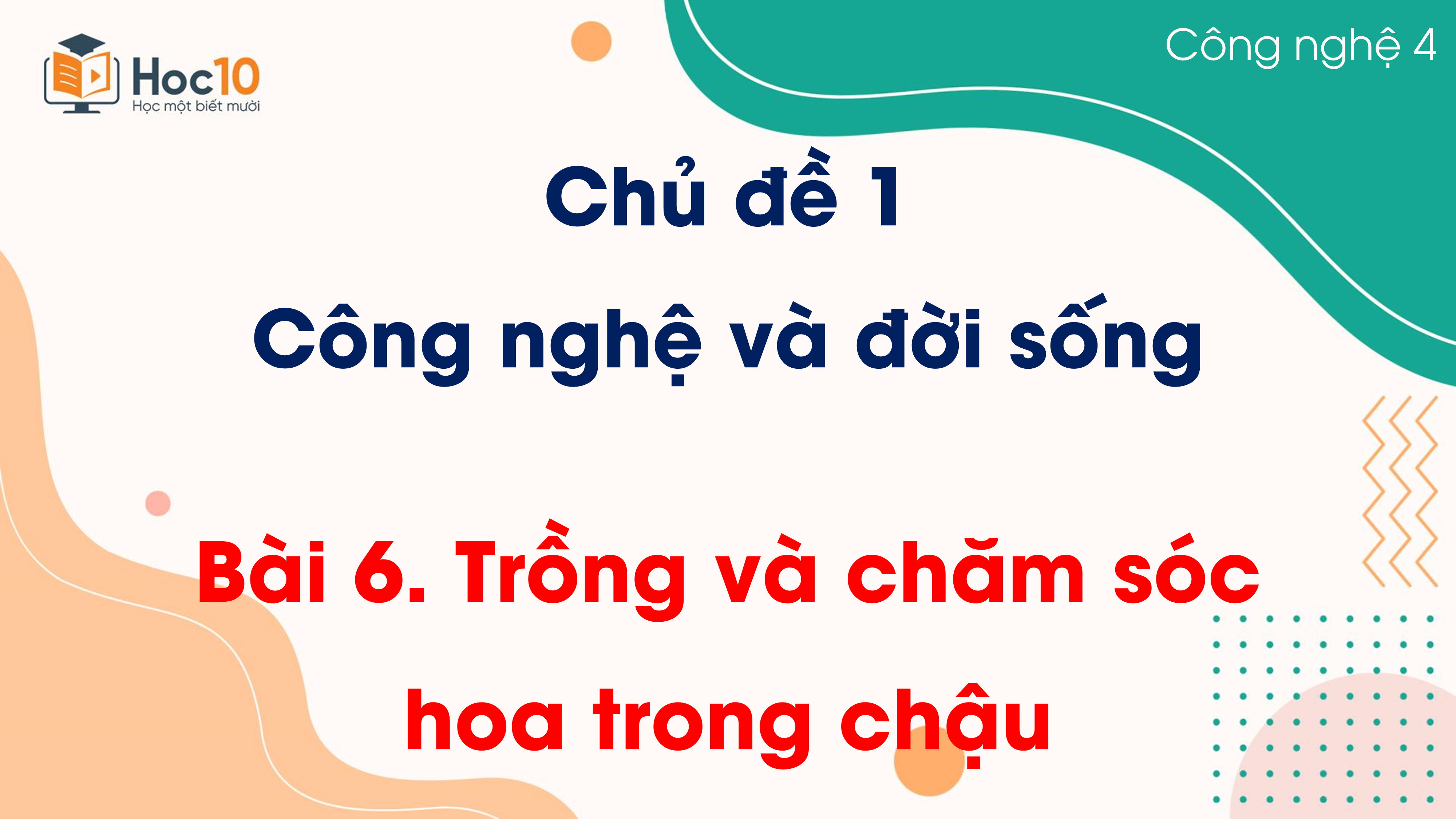 Chủ đề 1 - Bài 6 Trồng và chăm sóc hoa trong chậu